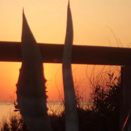 Della Yucca Gallipoli