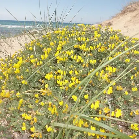 Della Yucca Holiday home *