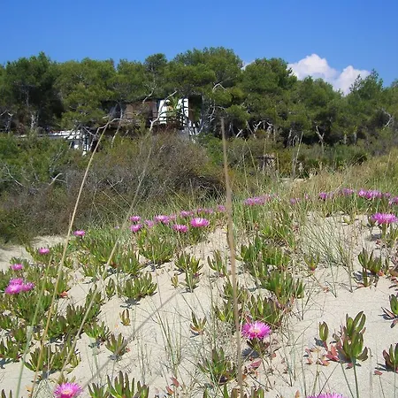 Della Yucca Holiday home