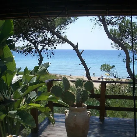 Della Yucca Gallipoli