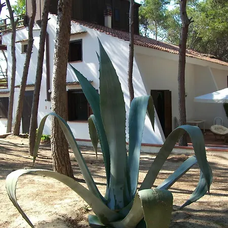 Della Yucca Holiday home *