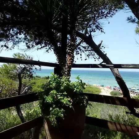 Della Yucca Gallipoli